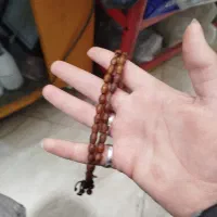 تسبی هسته اناب اصلی