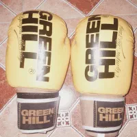 دستکش بوکس|تجهیزات ورزشی|رشت, عینک|دیوار