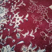 فرش ماشینی|فرش|مشهد, بهاران|دیوار