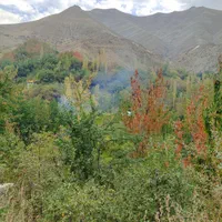 گروه اجتماعی/ تهرانگردی / طبیعت گردی/اکیپ/ گروه|فعالیت داوطلبانه|تهران, فرمانیه|دیوار