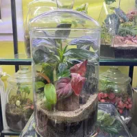 هدیه بی نظیر با ماندگاری سالانه برای روز مادر