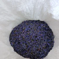 گل گاوزبان امسالی
