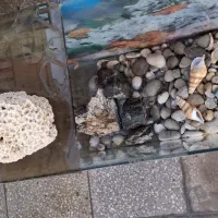 آکواریوم تمیز سالم