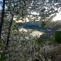 باغ ۳هکتاری بر فراز سد گاوشان|فروش خانه و ویلا|موچش, |دیوار