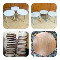 دونه ای ۲۴۰ مقطوع|گل و گیاه طبیعی|قزوین, |دیوار