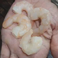 فروش میگو تحویل درب منزل|خوردنی و آشامیدنی|بوشهر, |دیوار