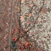 ریسه و چراغ روشنایی ال ای دی چشمک زن|ریسه و چراغ تزئینی|اصفهان, کوی ولی عصر|دیوار