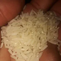 برنج هاشمی دره رود|خوردنی و آشامیدنی|دره رود, |دیوار