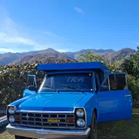 نیسان وانت بنزینی درحد