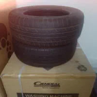 کلاستیک ساینا