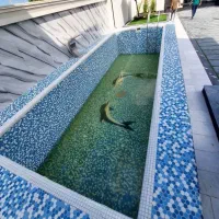 * کاخ سفید شمالو پیدا کردم *استخر*ویوجنگل*سنددار|فروش خانه و ویلا|چمستان, |دیوار