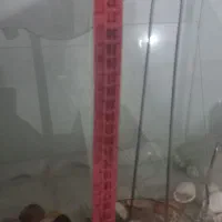 اکواریوم ماهی|ماهی|فریدون‌کنار, |دیوار