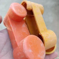 آبخوری مرغ و کبوتر، بلدرچین