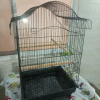 دو عدد قفس و یک پایه قفس|لوازم جانبی حیوانات|رشت, رشتیان|دیوار