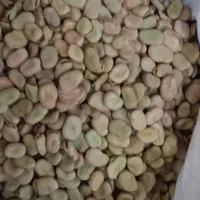 باقلا هیستال