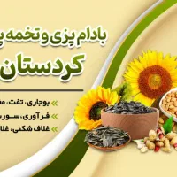 استخدام نیروی مرد