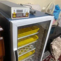 دستگاه جوجه کشی|لوازم جانبی حیوانات|همدان, |دیوار