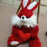 عروسک سالم ده عدد