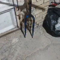کمک‌دوشاخ و فرمون درحد