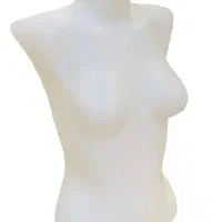 فروش وسایل مغازه مانکن،پرو،رگال،چوب لباسی،ویترین و|فروشگاه و مغازه|الشتر, |دیوار