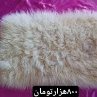 پوست گوسفندی تمیز شده|صنایع دستی و سایر لوازم تزئینی|نورآباد ممسنی, |دیوار