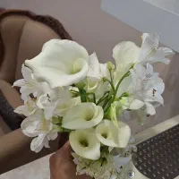 فروش دسته گل طبیعی عروس شیپوری وارداتی|گل و گیاه طبیعی|تهران, مدائن|دیوار