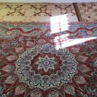 روفرشی|روفرشی|بیرجند, |دیوار