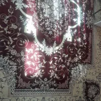 فرش ۱۲متری|فرش|بن, |دیوار