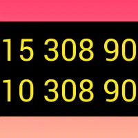 یک جفت شماره همزاد