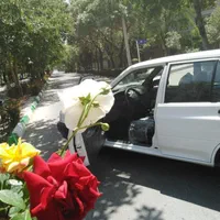 %آموزش تخصصی رانندگی تضمینی%