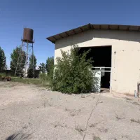 ۱۲ هکتار دامداری تمام صنعتی شیری