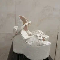 صندل یا کفش عروس|کیف، کفش، کمربند|جهرم, |دیوار