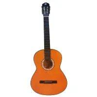 گیتار دیاموند نو
