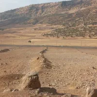 فروش زمین کشاورزی