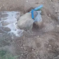 چهار هکتار زمین کشاورزی حدود دویست عدد درخت خرما|فروش دفتر صنعتی، کشاورزی، تجاری|زاهدان, |دیوار