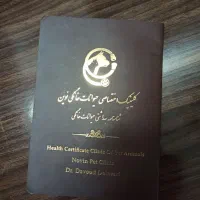 واگذاری سگ چهار ماهه نر شناسنامه دار خونگی کوچولو|سگ|مشهد, مهدی آباد|دیوار