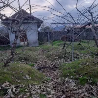 زمین-فروشی-تالش-چوبر