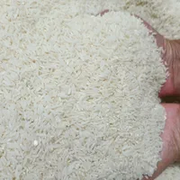 برنج هاشمی درجه 1شاندرمن گیلان