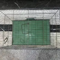 قفس پرنده|لوازم جانبی حیوانات|تهران, حکیمیه|دیوار