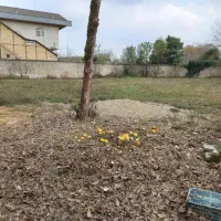 ۷۵۰ متر زمین کامل مسکونی