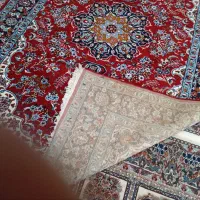 فرش ماشینی کاشان|فرش|تربت جام, میان جام|دیوار