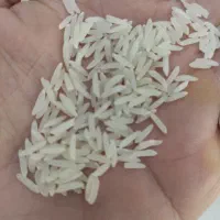 برنج محلی بشرط پخت