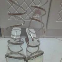 کفش|کیف، کفش، کمربند|کرمان, |دیوار