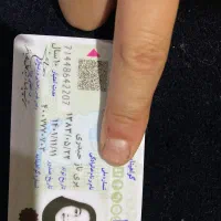 پیدا شده