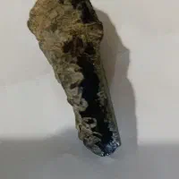 سنگ فسیلی