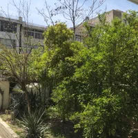 خوابگاه پانسیون دخترانه شادمان