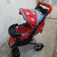 کالسکه های دلیجان و عصایی