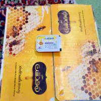 یک جعبه عسل زعفران کوهدشت 16 گرمی