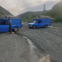 خریدقلمه بید چوب خشک کهنه|خدمات باغبانی و درختکاری|قره ضیاالدین, |دیوار