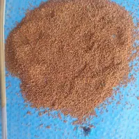 خاکشیر به صورت عمده